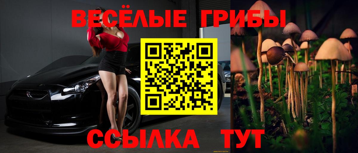Псилоцибиновые грибы Psilocybe  Вход с VPN  Россия  Псилоцибиновые грибы мицелий 